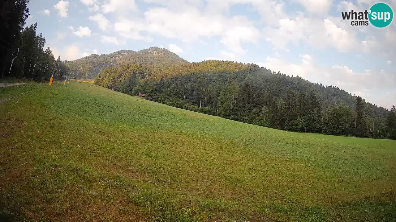 RTC Skigebiet Kranjska Gora | Brsnina