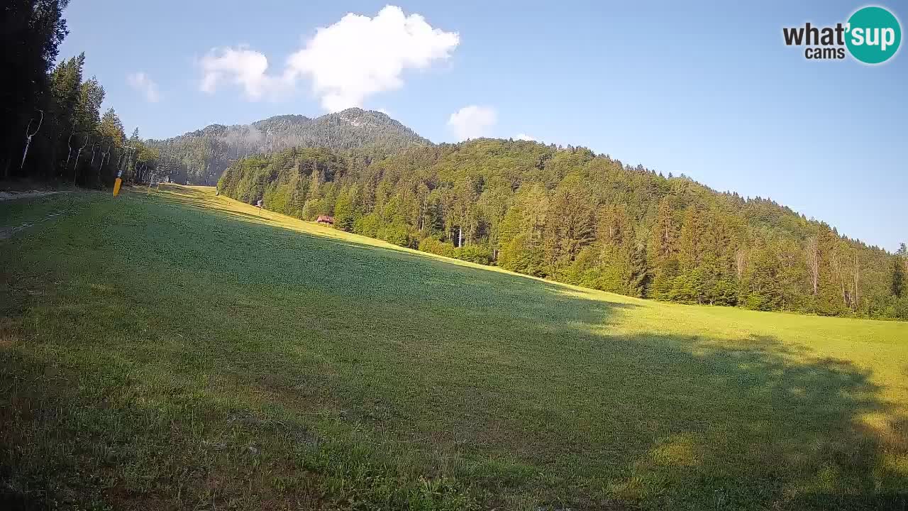 RTC Kranjska Gora | Brsnina