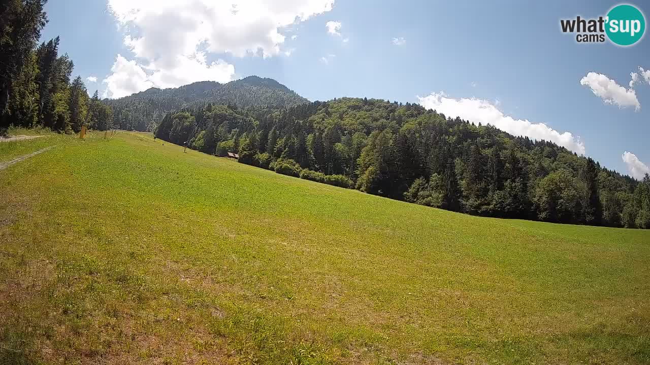 Esquí Kranjska Gora | Brsnina
