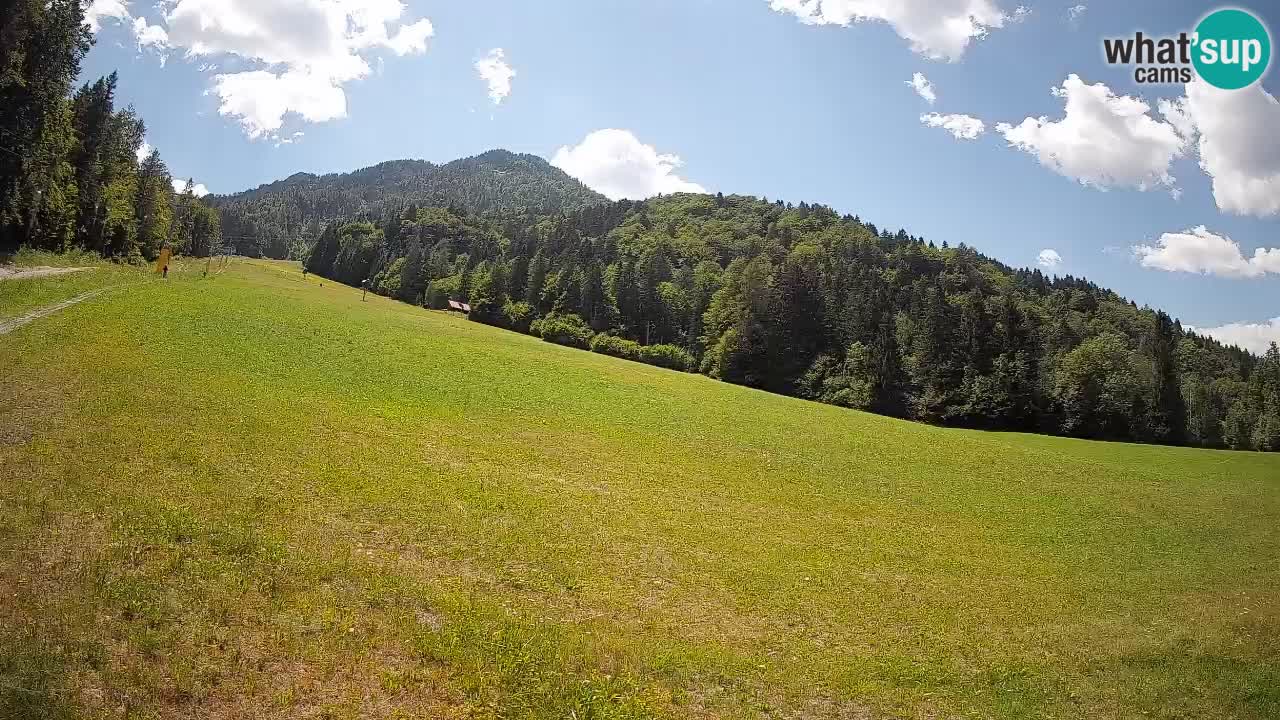Ski Kranjska Gora | Brsnina