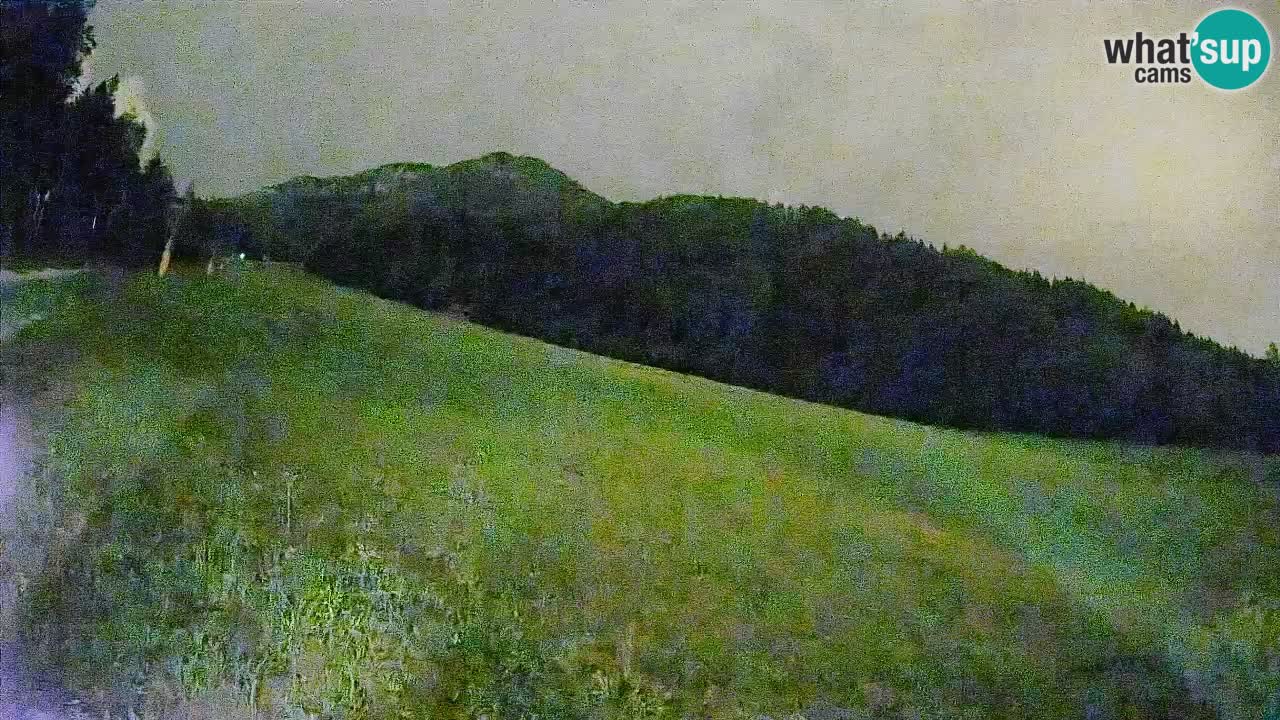 Comprensorio sciistico Kranjska Gora | Brsnina