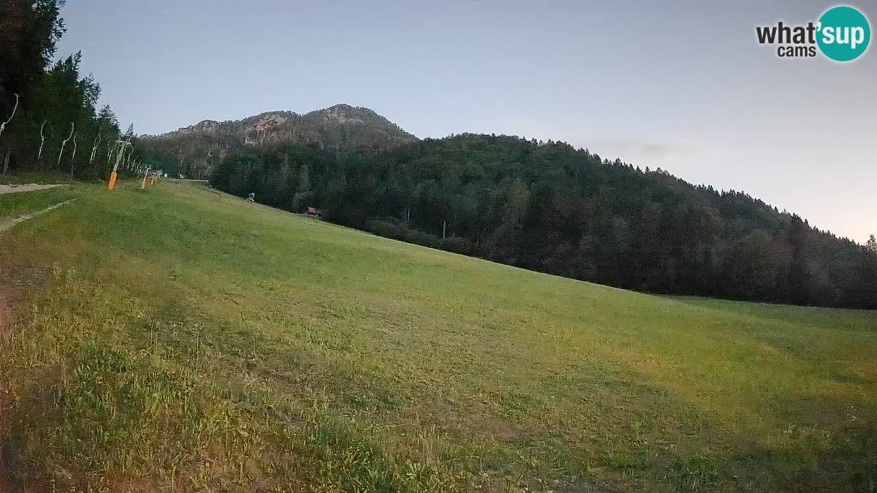 RTC Kranjska Gora | Brsnina