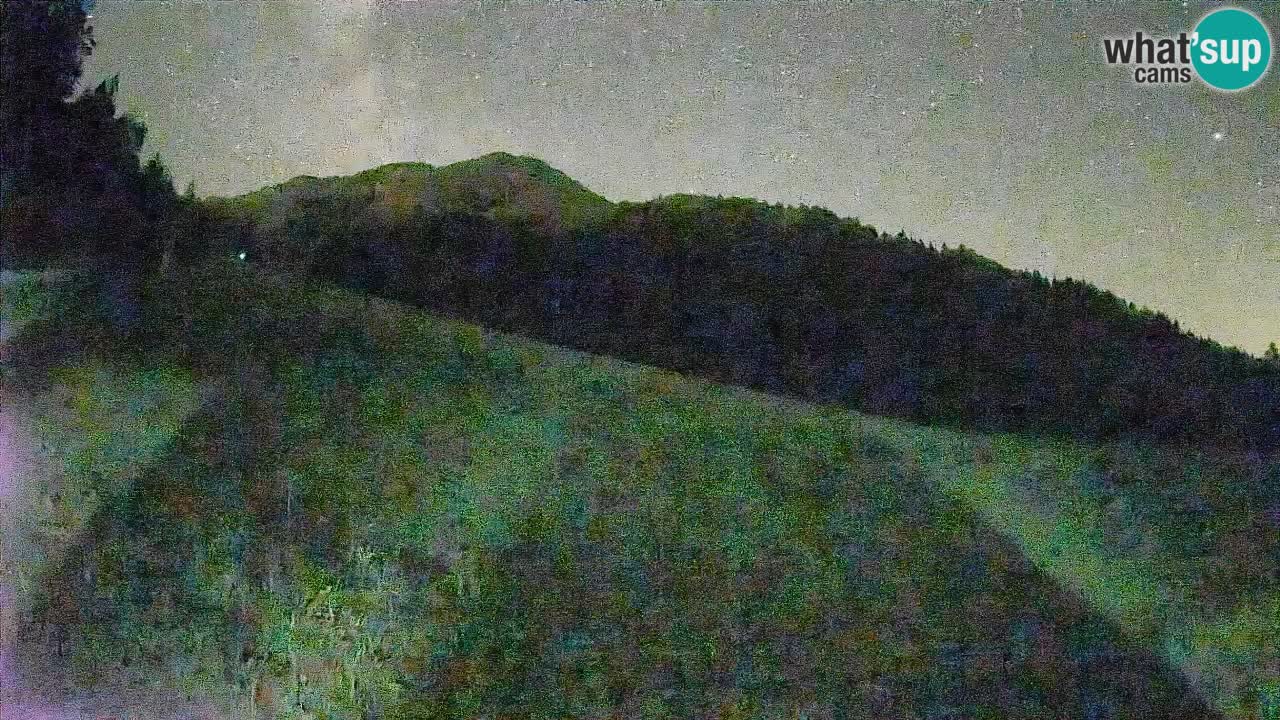 Ski Kranjska Gora | Brsnina