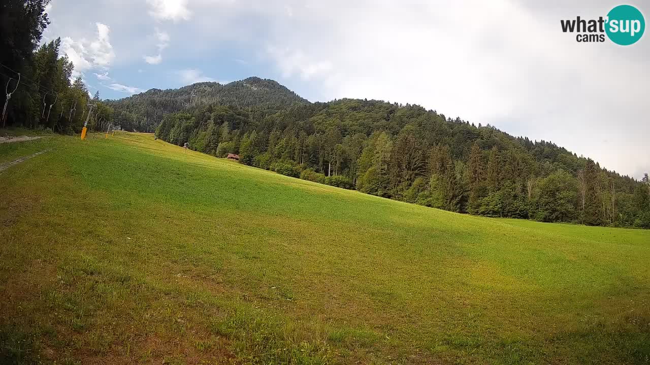 RTC Skigebiet Kranjska Gora | Brsnina
