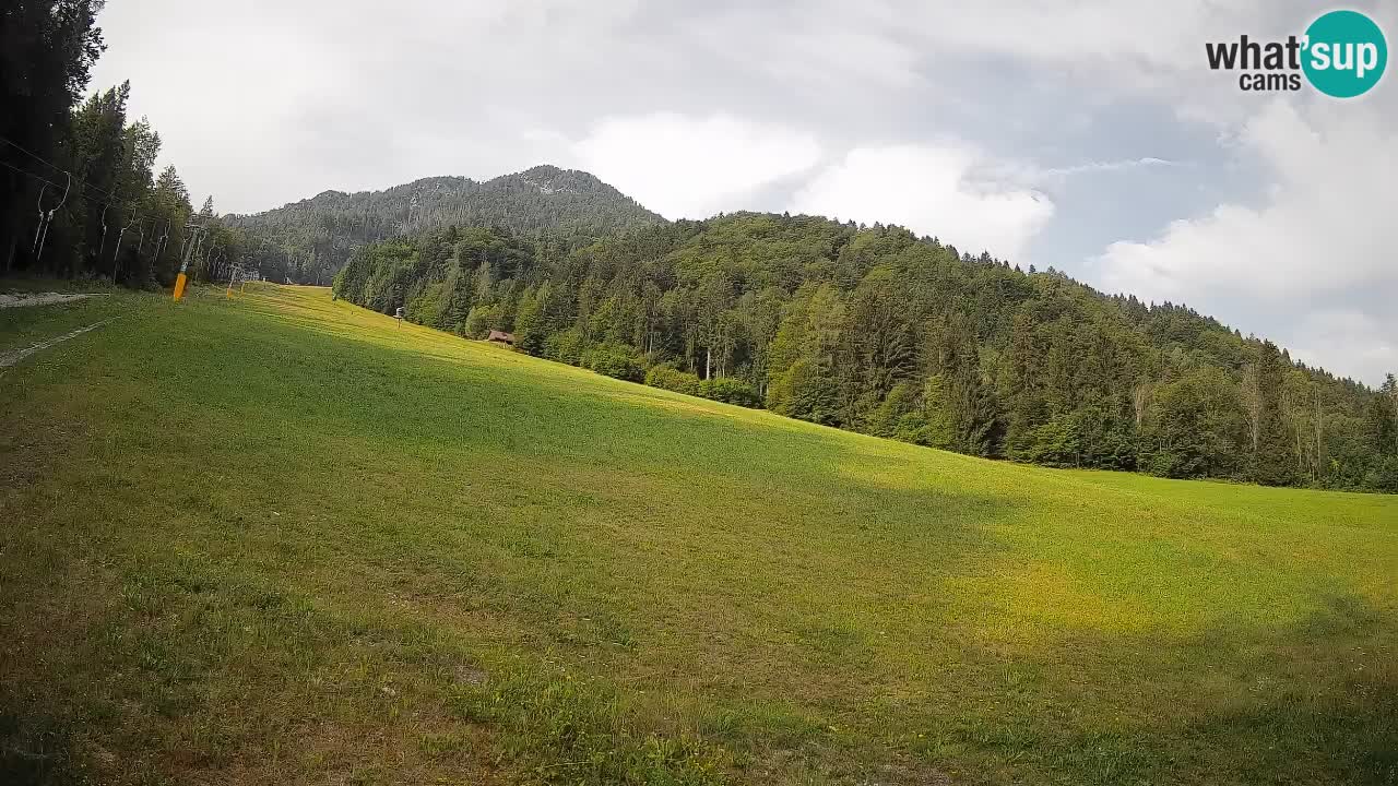 Comprensorio sciistico Kranjska Gora | Brsnina