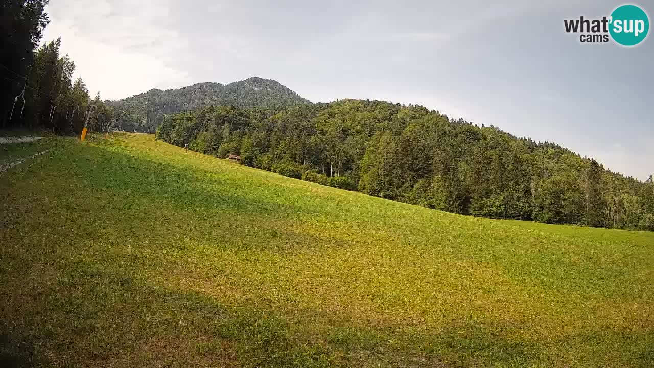 RTC Skigebiet Kranjska Gora | Brsnina