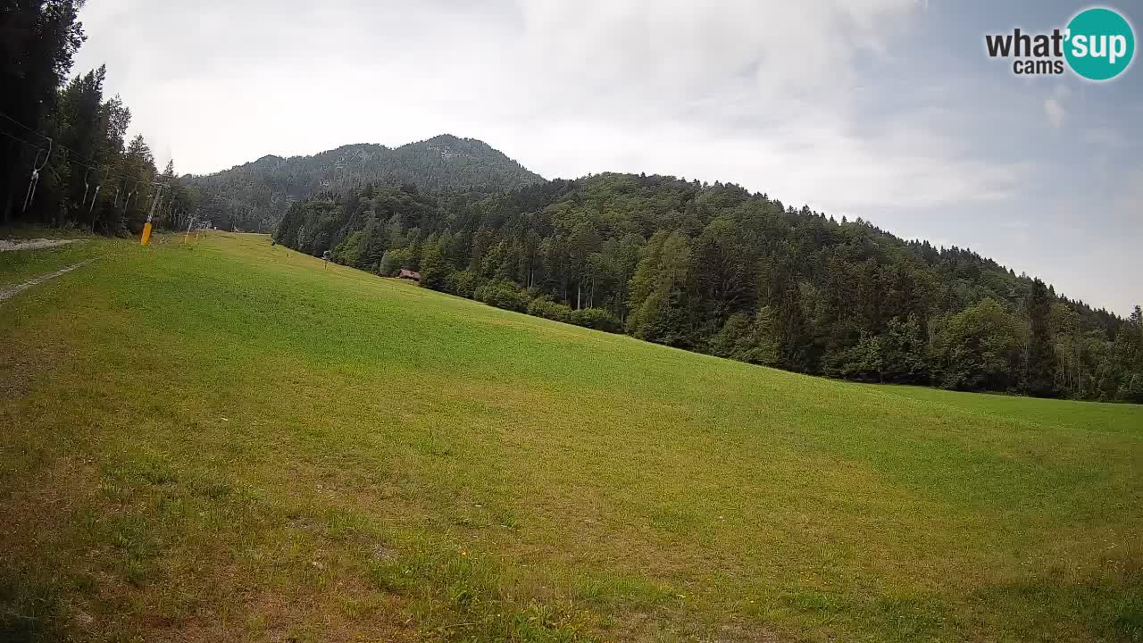 Esquí Kranjska Gora | Brsnina