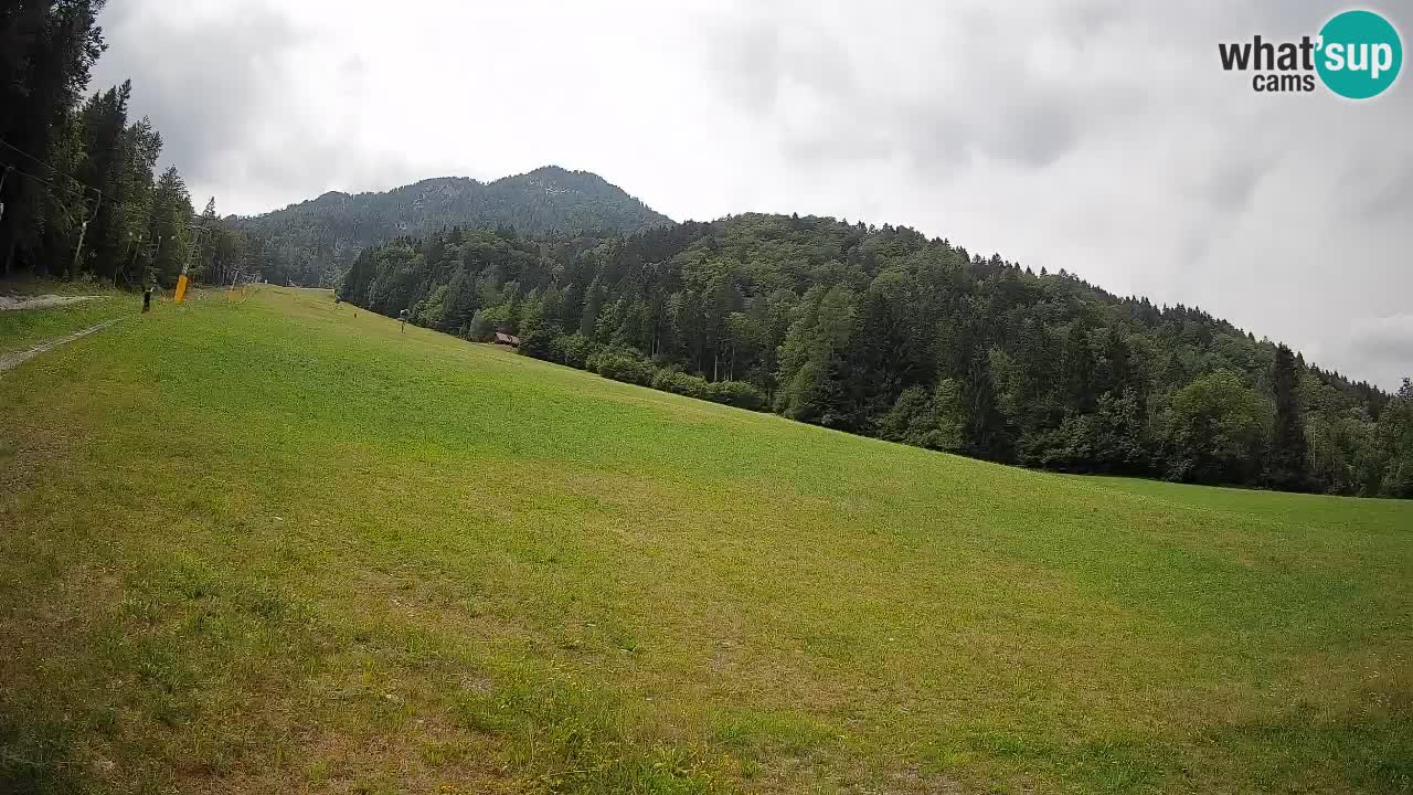 Esquí Kranjska Gora | Brsnina
