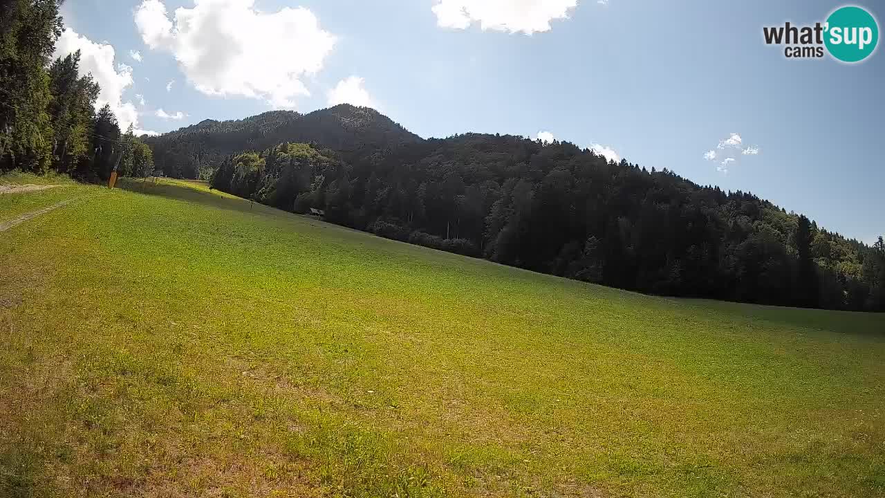 RTC Skigebiet Kranjska Gora | Brsnina