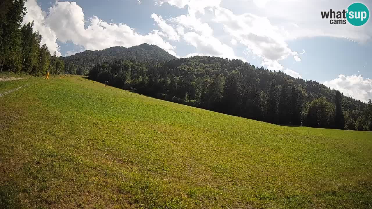 Kranjska Gora Station de ski | Brsnina