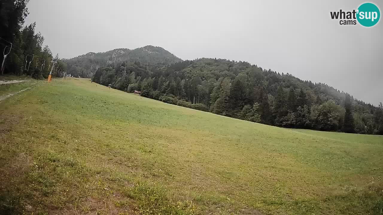 Comprensorio sciistico Kranjska Gora | Brsnina