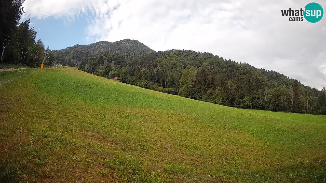 Ski Kranjska Gora | Brsnina