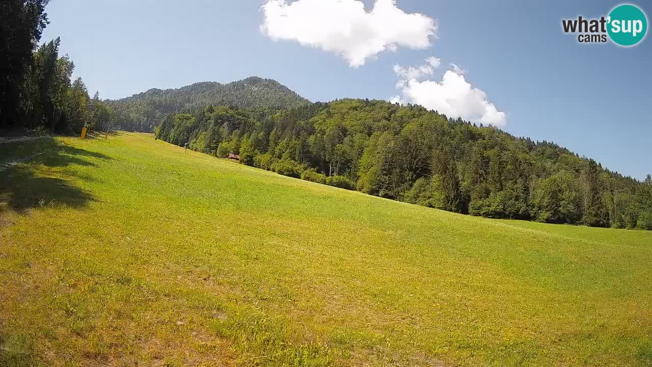 RTC Skigebiet Kranjska Gora | Brsnina