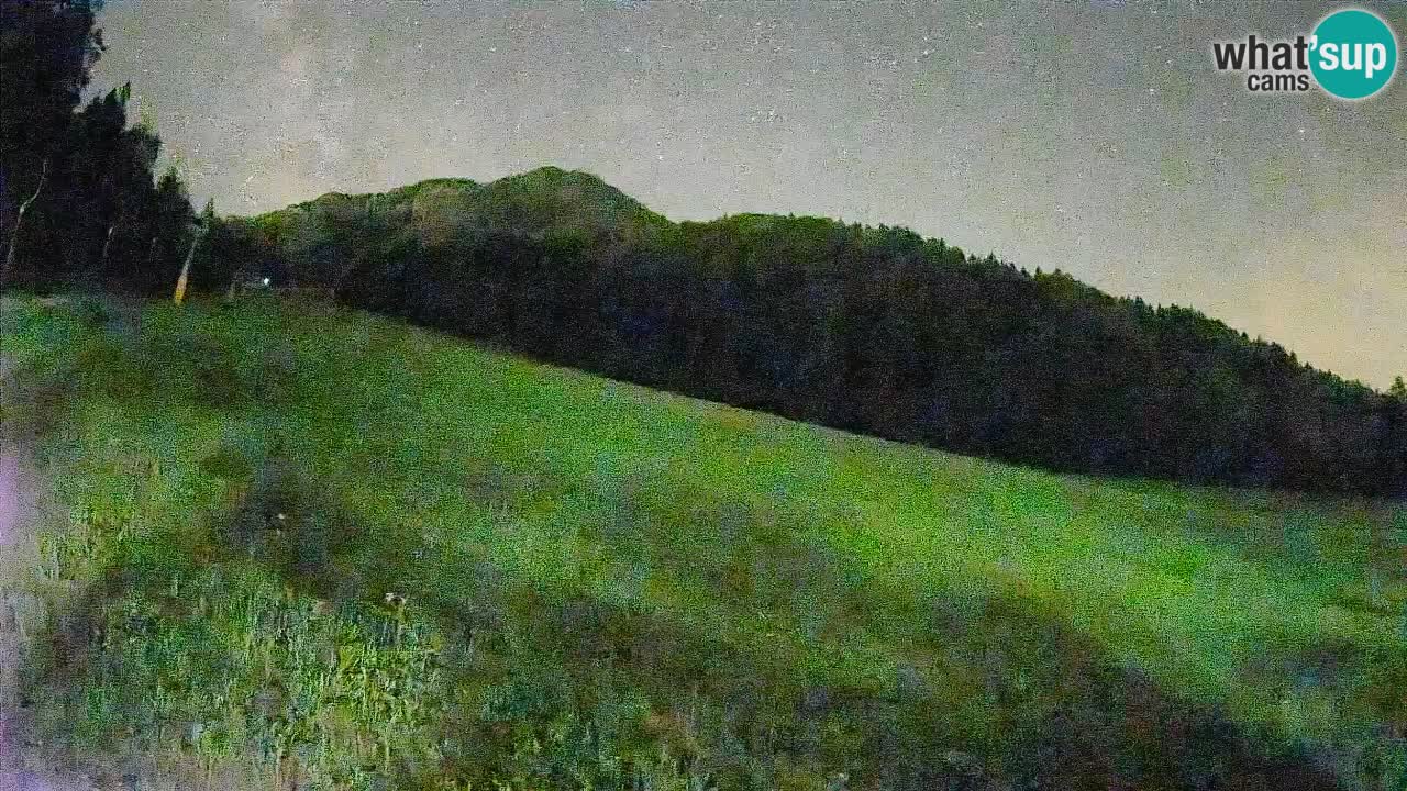 Ski Kranjska Gora | Brsnina