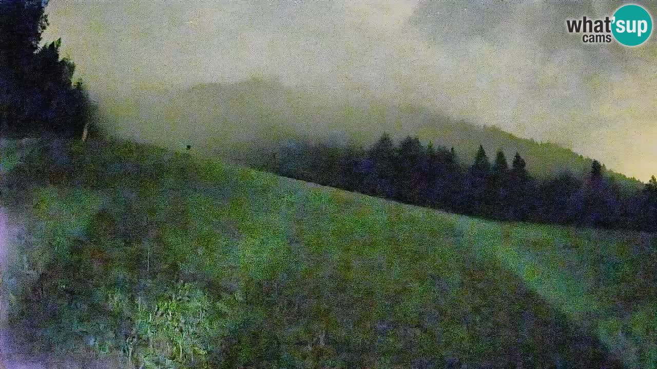 Ski Kranjska Gora | Brsnina