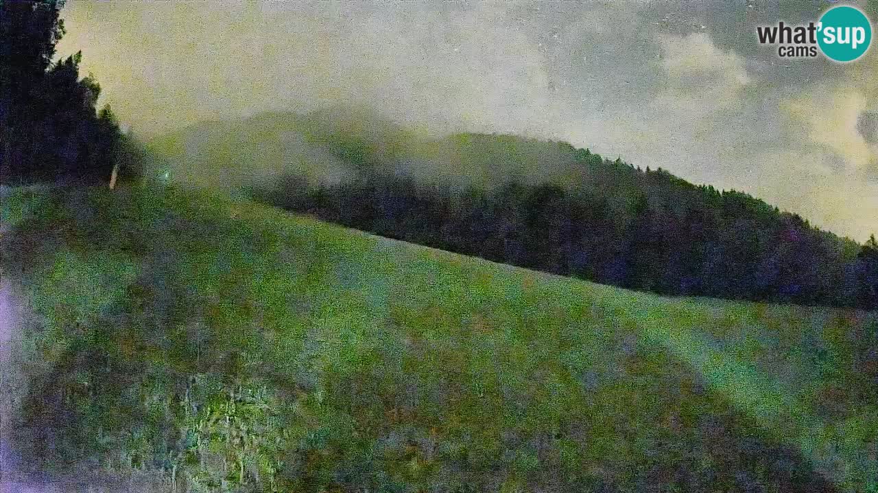RTC Kranjska Gora | Brsnina