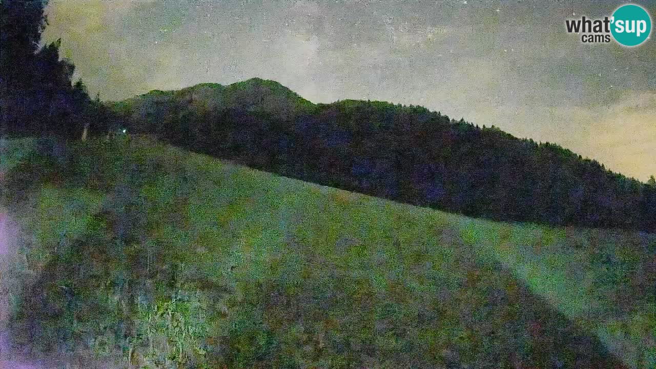 Ski Kranjska Gora | Brsnina
