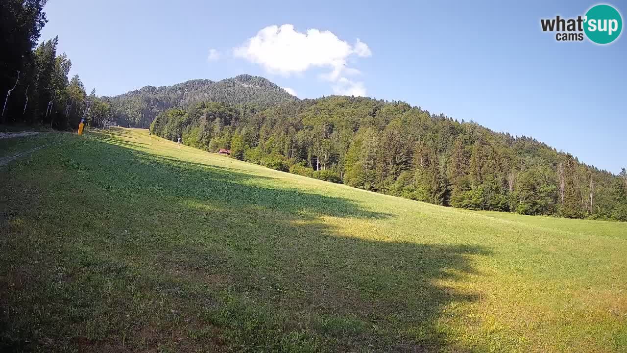 Comprensorio sciistico Kranjska Gora | Brsnina