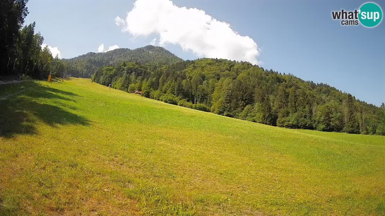Kranjska Gora SKIJANJE | Brsnina
