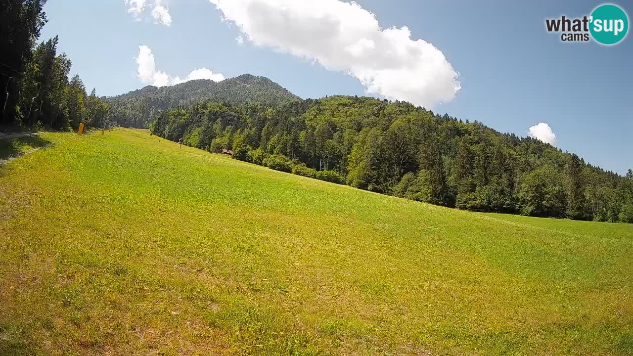 RTC Kranjska Gora | Brsnina