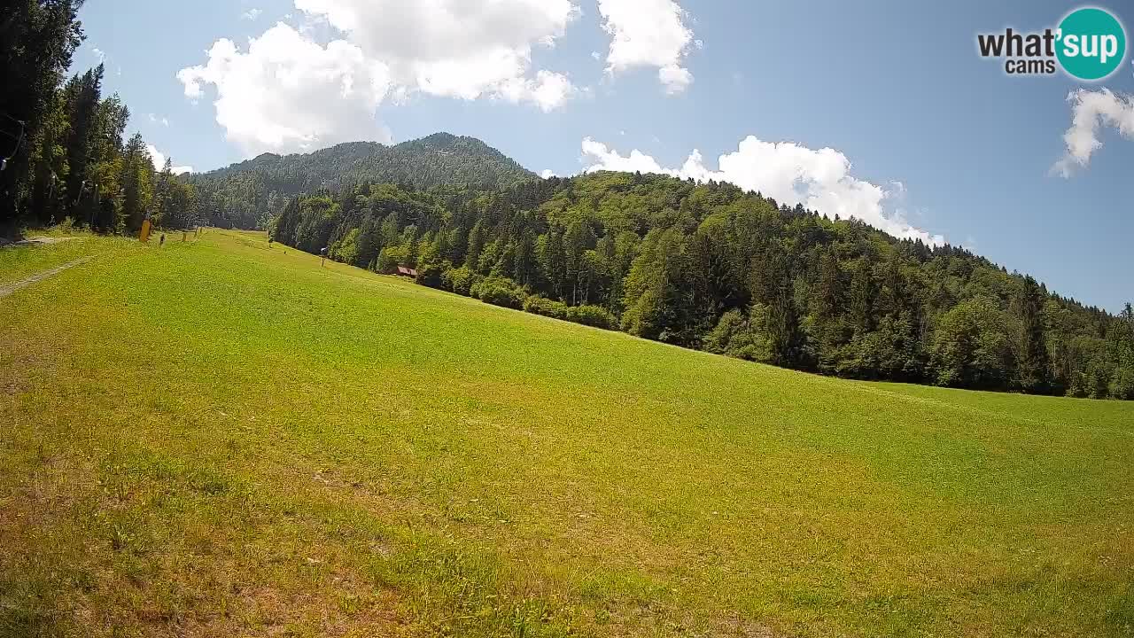 RTC Kranjska Gora | Brsnina