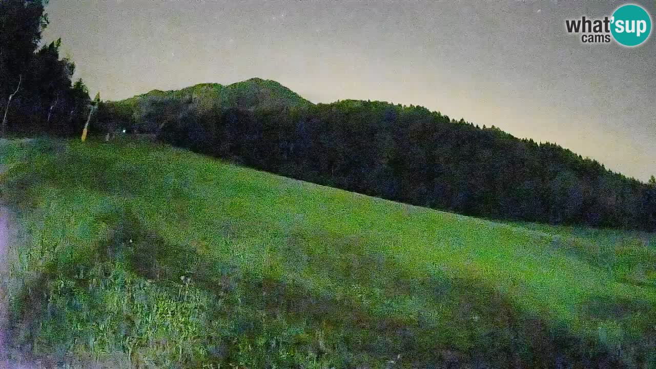RTC Kranjska Gora | Brsnina