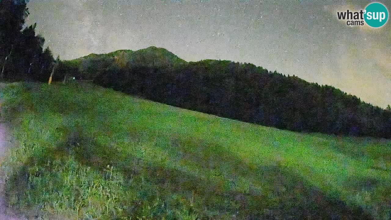 RTC Kranjska Gora | Brsnina