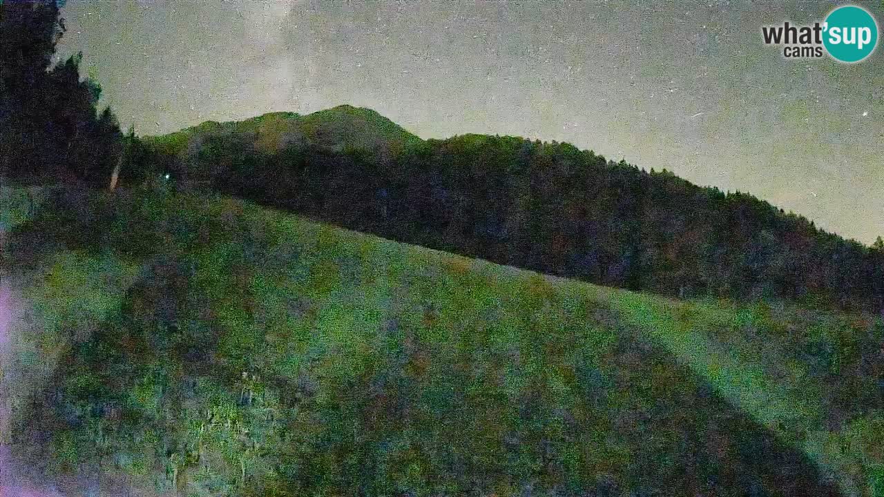Ski Kranjska Gora | Brsnina