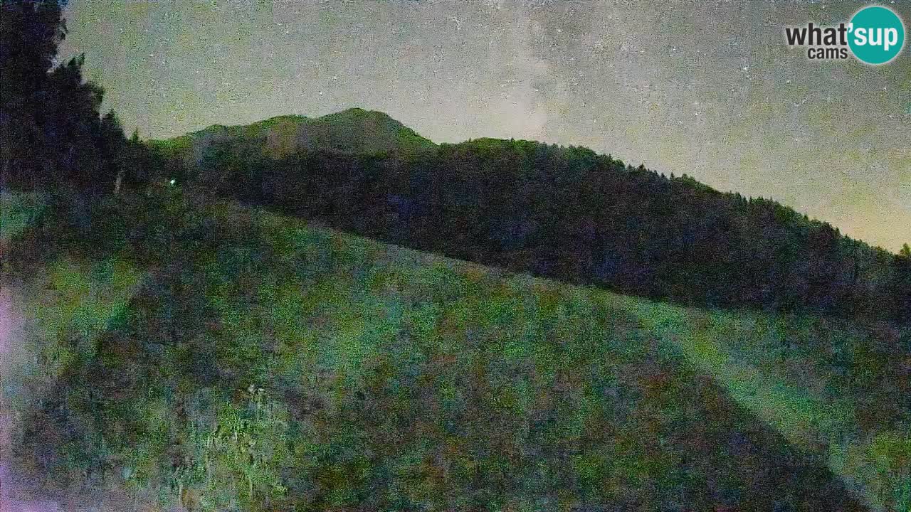RTC Kranjska Gora | Brsnina