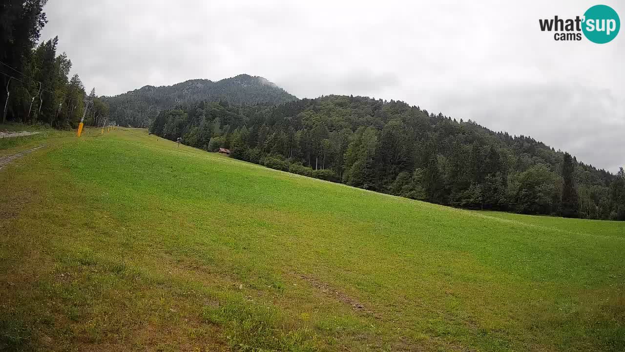 Ski Kranjska Gora | Brsnina