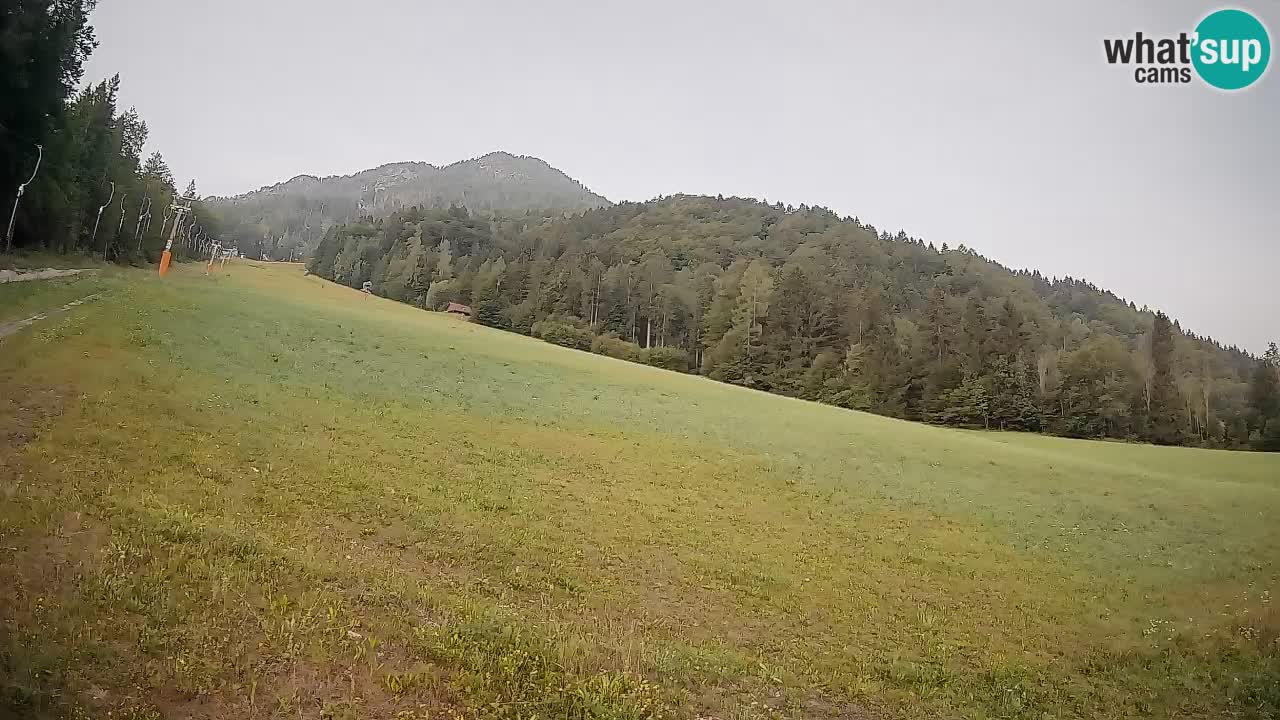 Kranjska Gora SKIJANJE | Brsnina