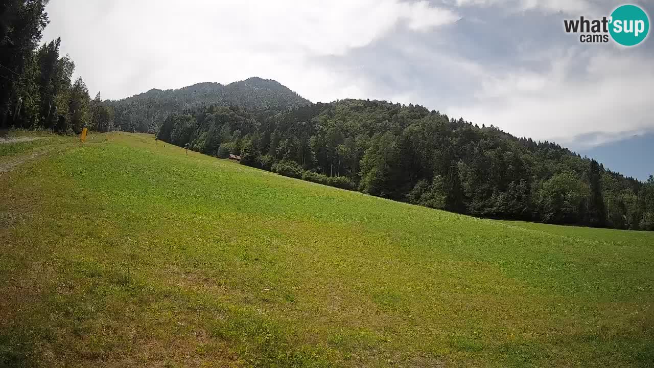 Ski Kranjska Gora | Brsnina