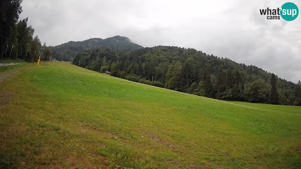RTC Skigebiet Kranjska Gora | Brsnina