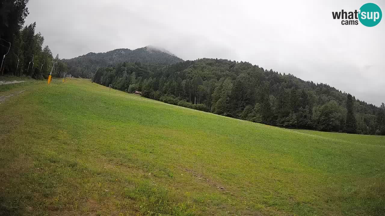 Esquí Kranjska Gora | Brsnina