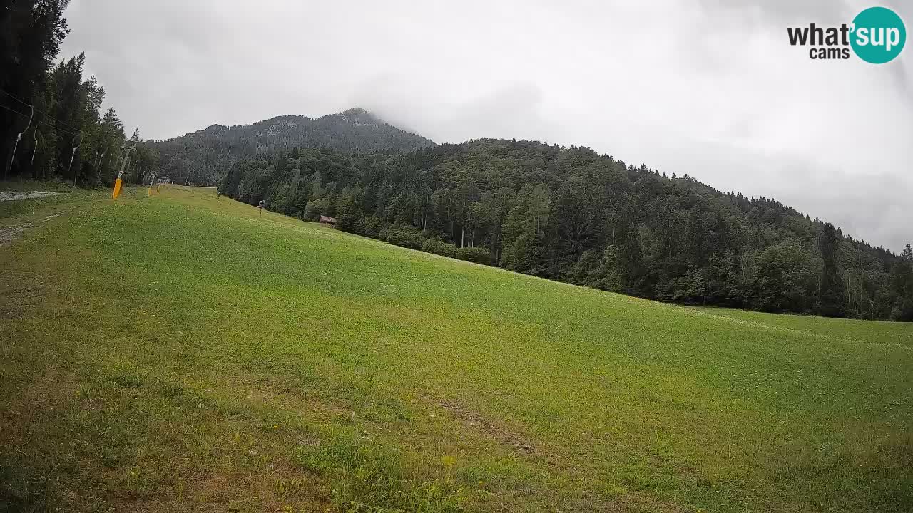 Kranjska Gora SKIJANJE | Brsnina