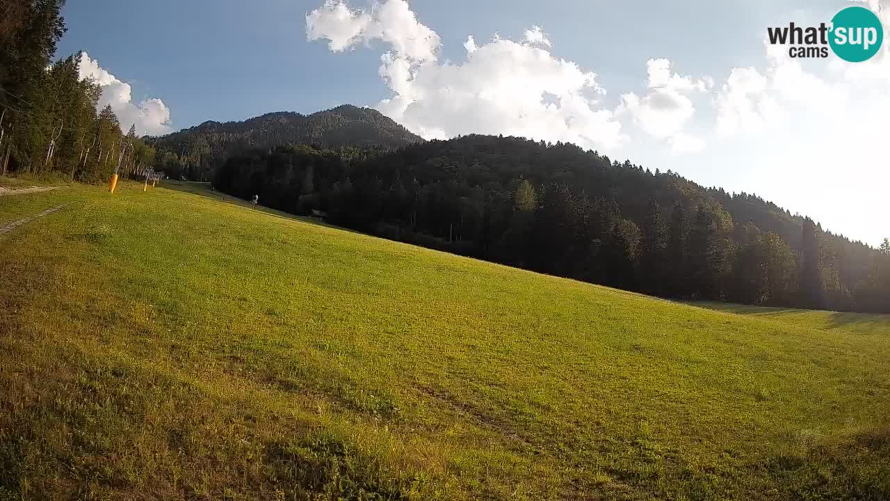 RTC Kranjska Gora | Brsnina