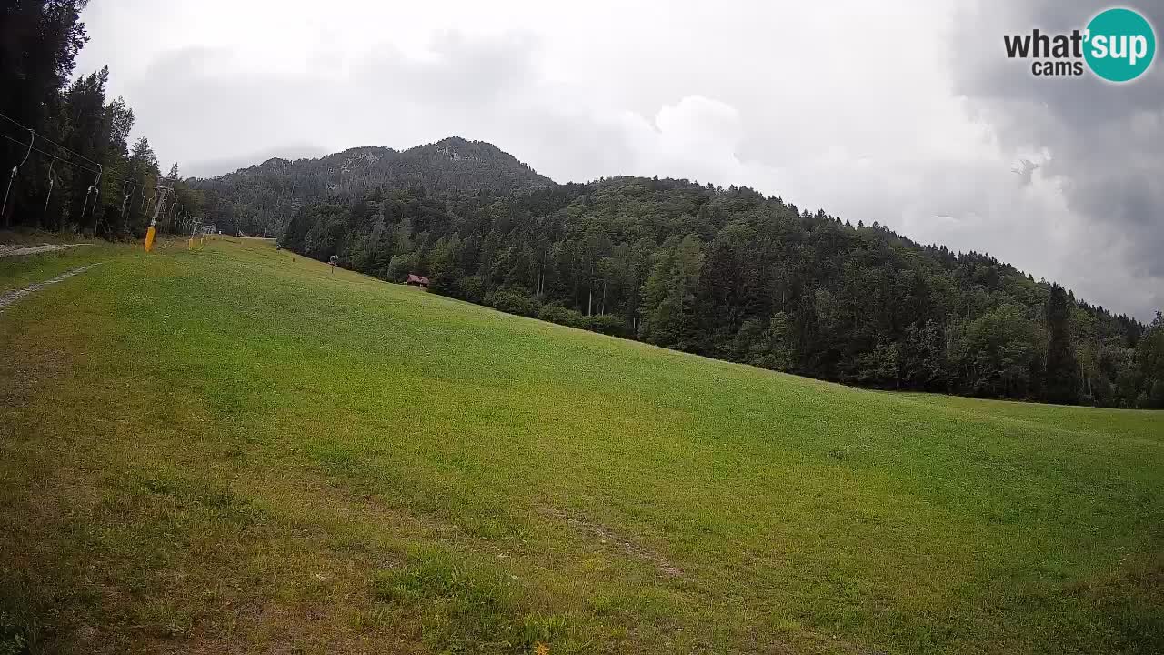 RTC Skigebiet Kranjska Gora | Brsnina