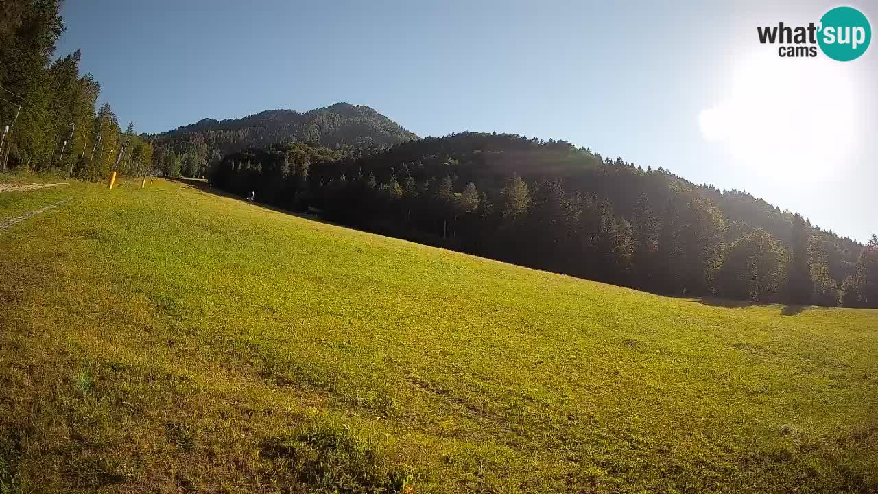 Kranjska Gora Station de ski | Brsnina