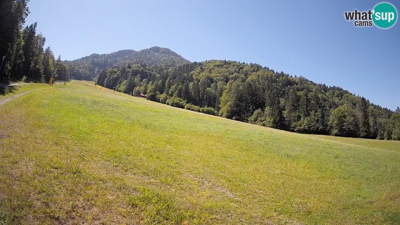 Ski Kranjska Gora | Brsnina