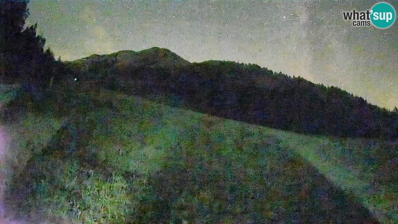 Esquí Kranjska Gora | Brsnina