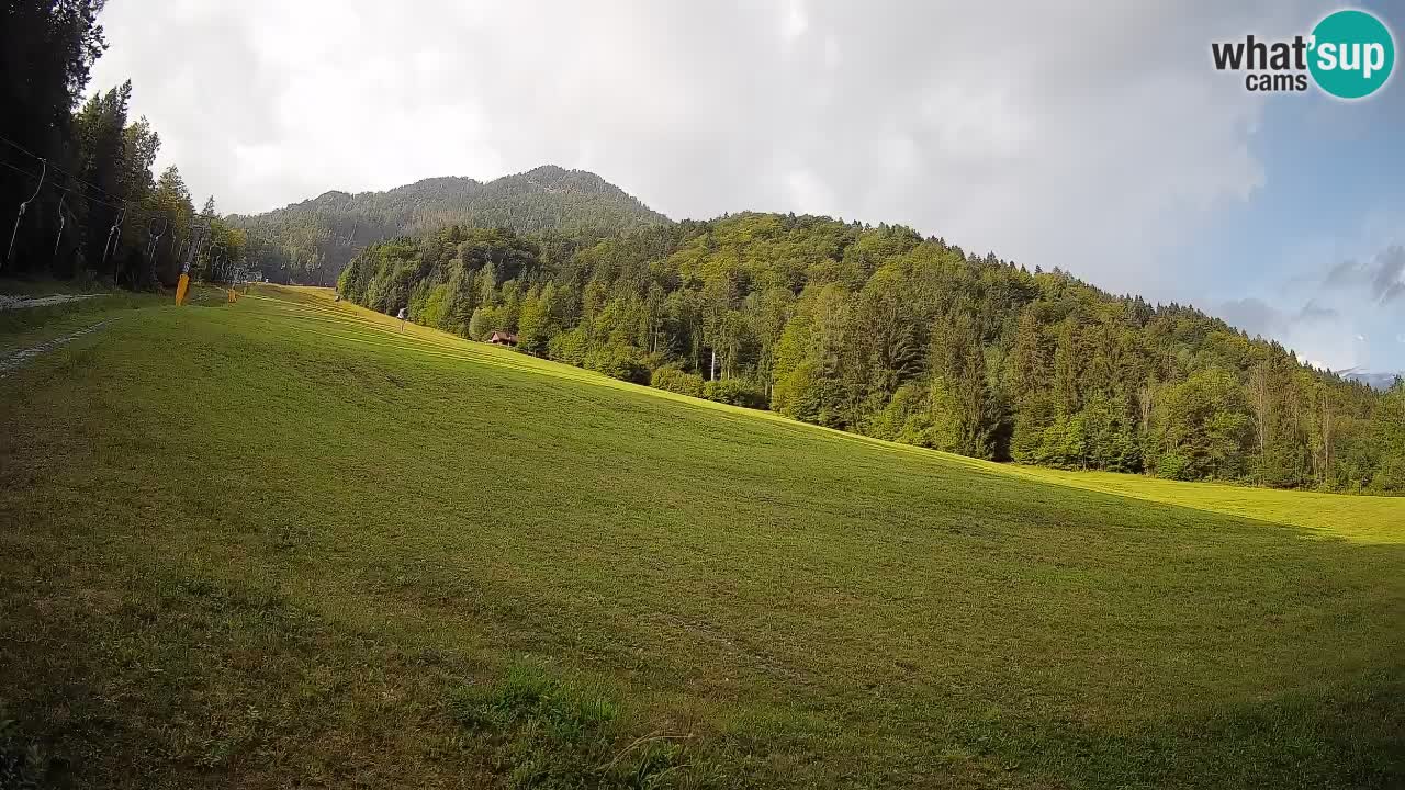 Esquí Kranjska Gora | Brsnina