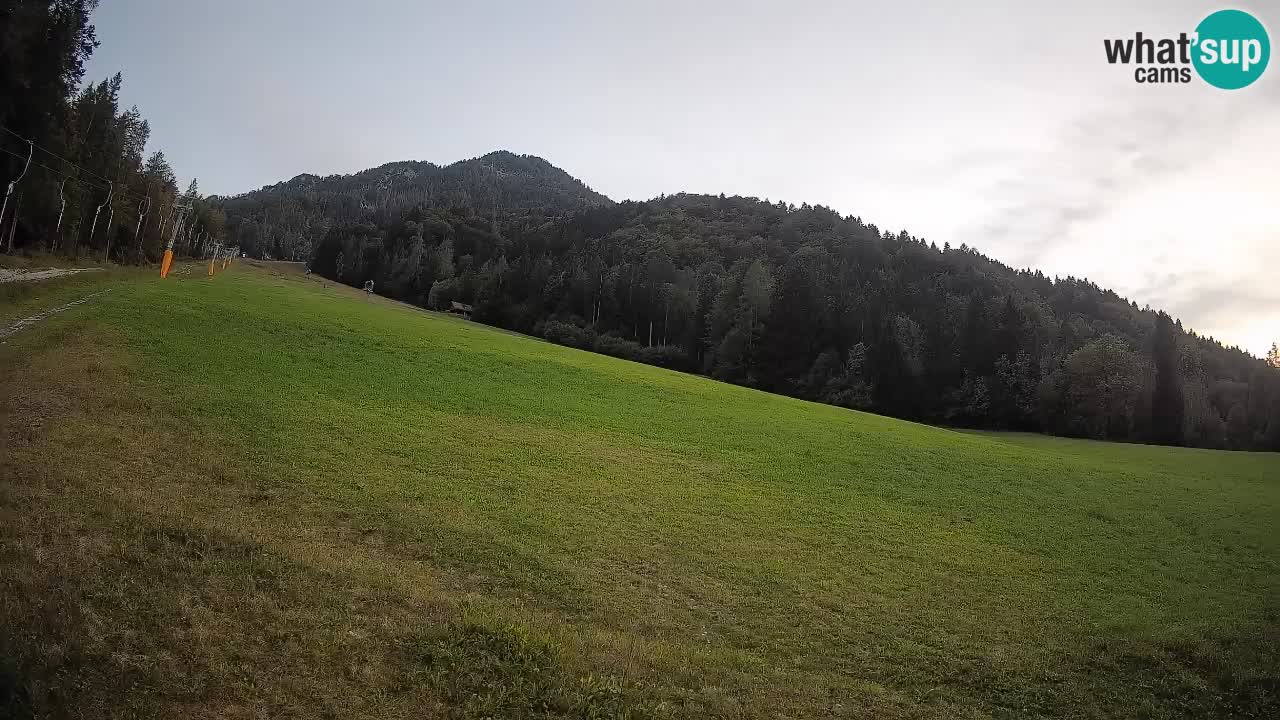 RTC Kranjska Gora | Brsnina