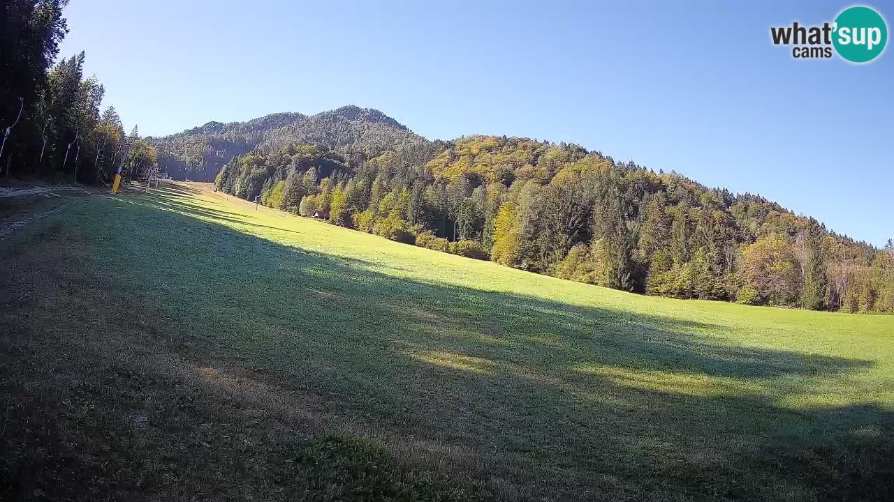 RTC Kranjska Gora | Brsnina