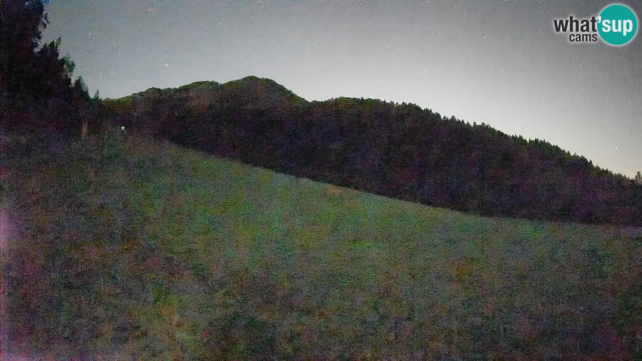 Ski Kranjska Gora | Brsnina