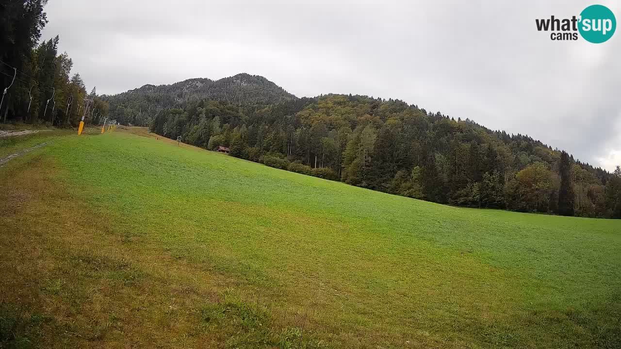 Esquí Kranjska Gora | Brsnina