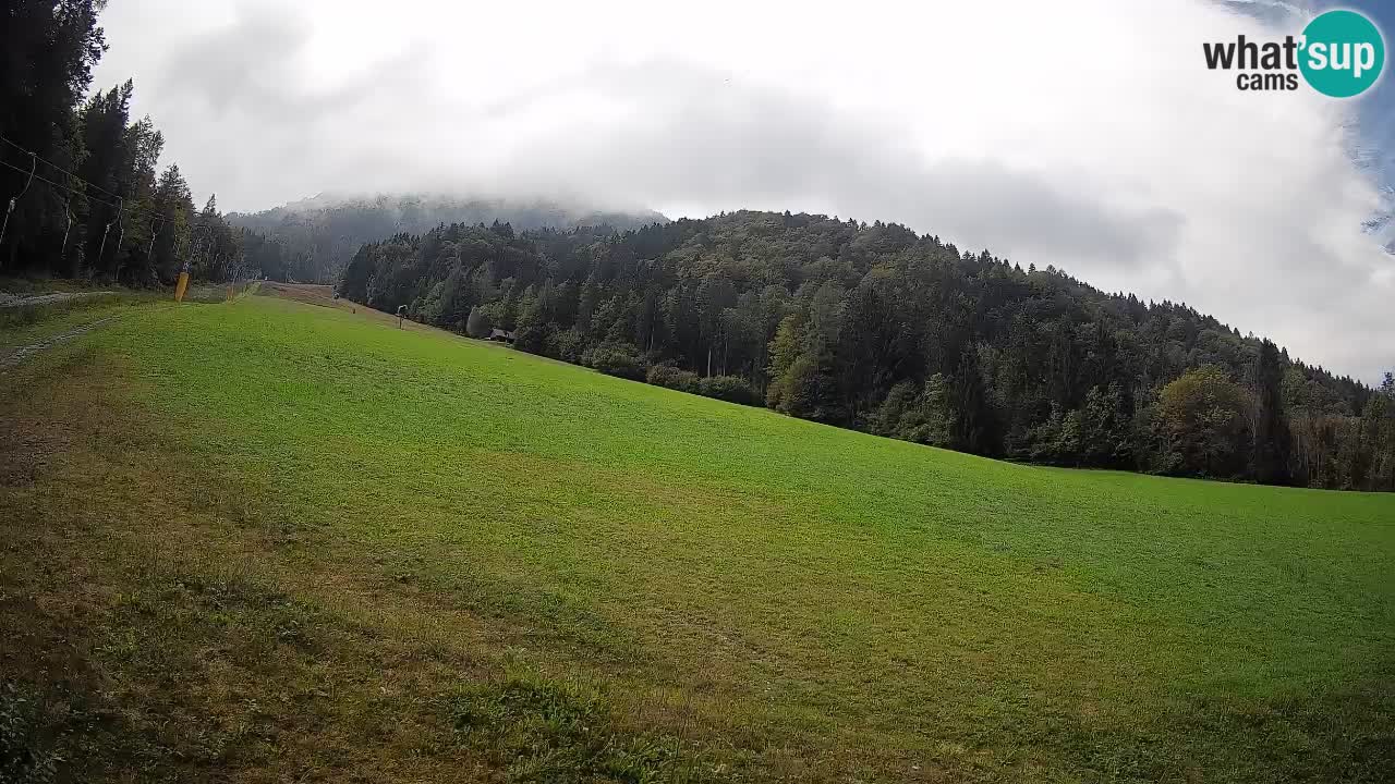 Comprensorio sciistico Kranjska Gora | Brsnina