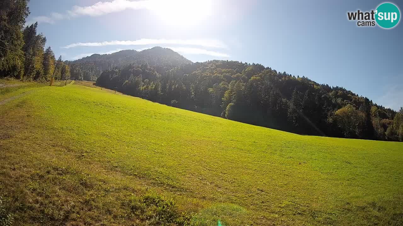 RTC Kranjska Gora | Brsnina