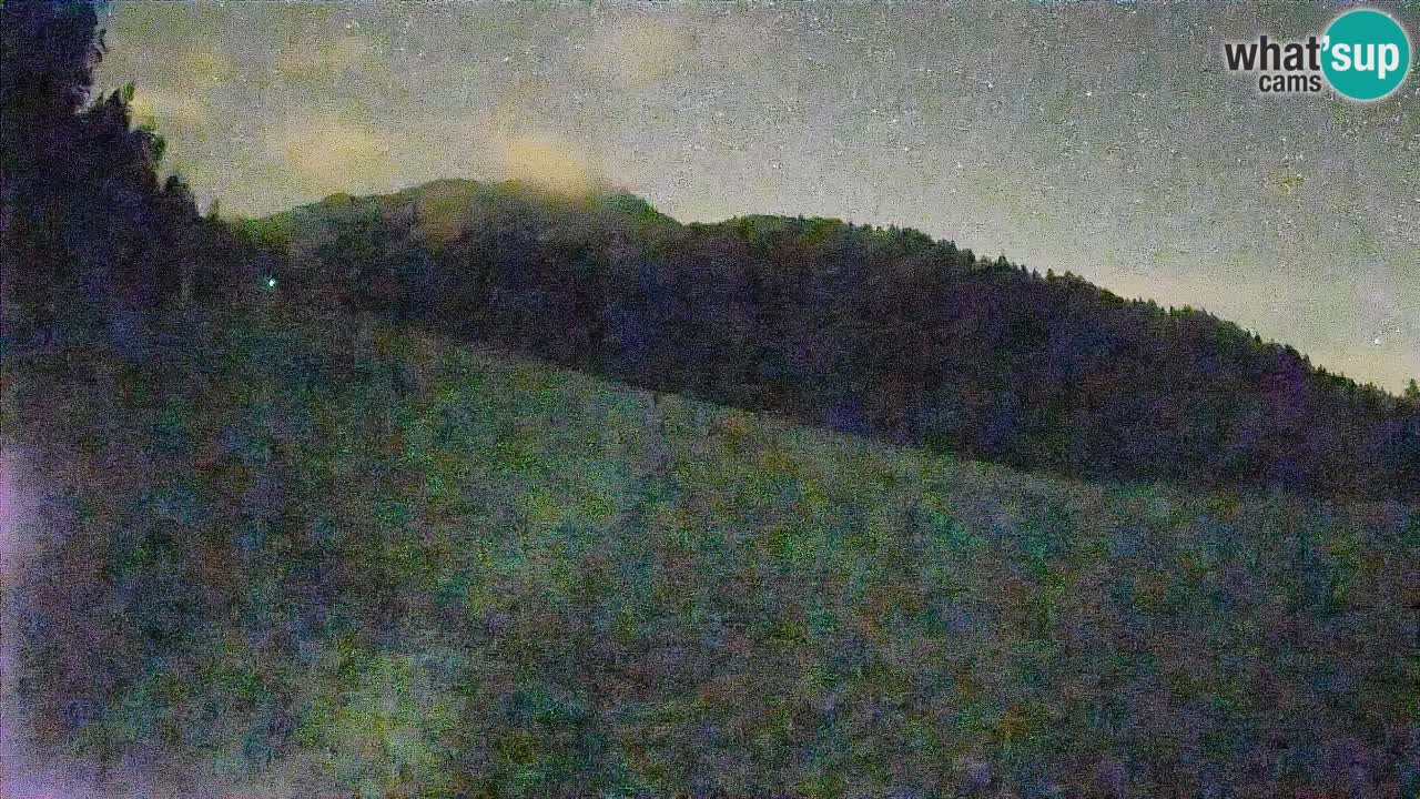 RTC Skigebiet Kranjska Gora | Brsnina
