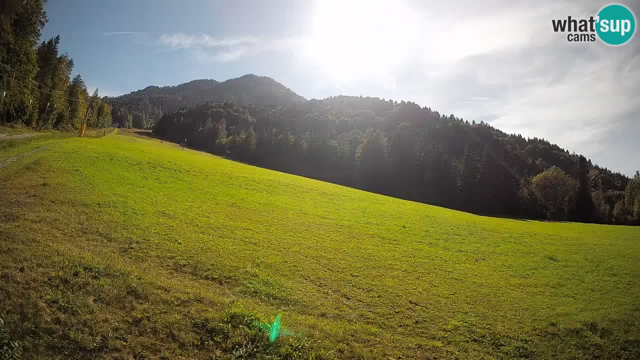 Ski Kranjska Gora | Brsnina
