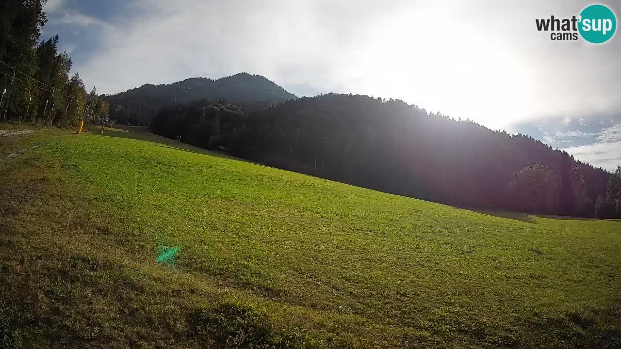 Ski Kranjska Gora | Brsnina